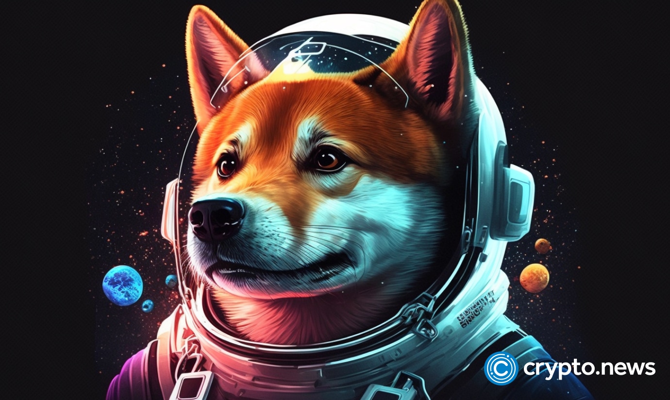 Shiba Inus burn rate drops by over 99% as the price plunges
