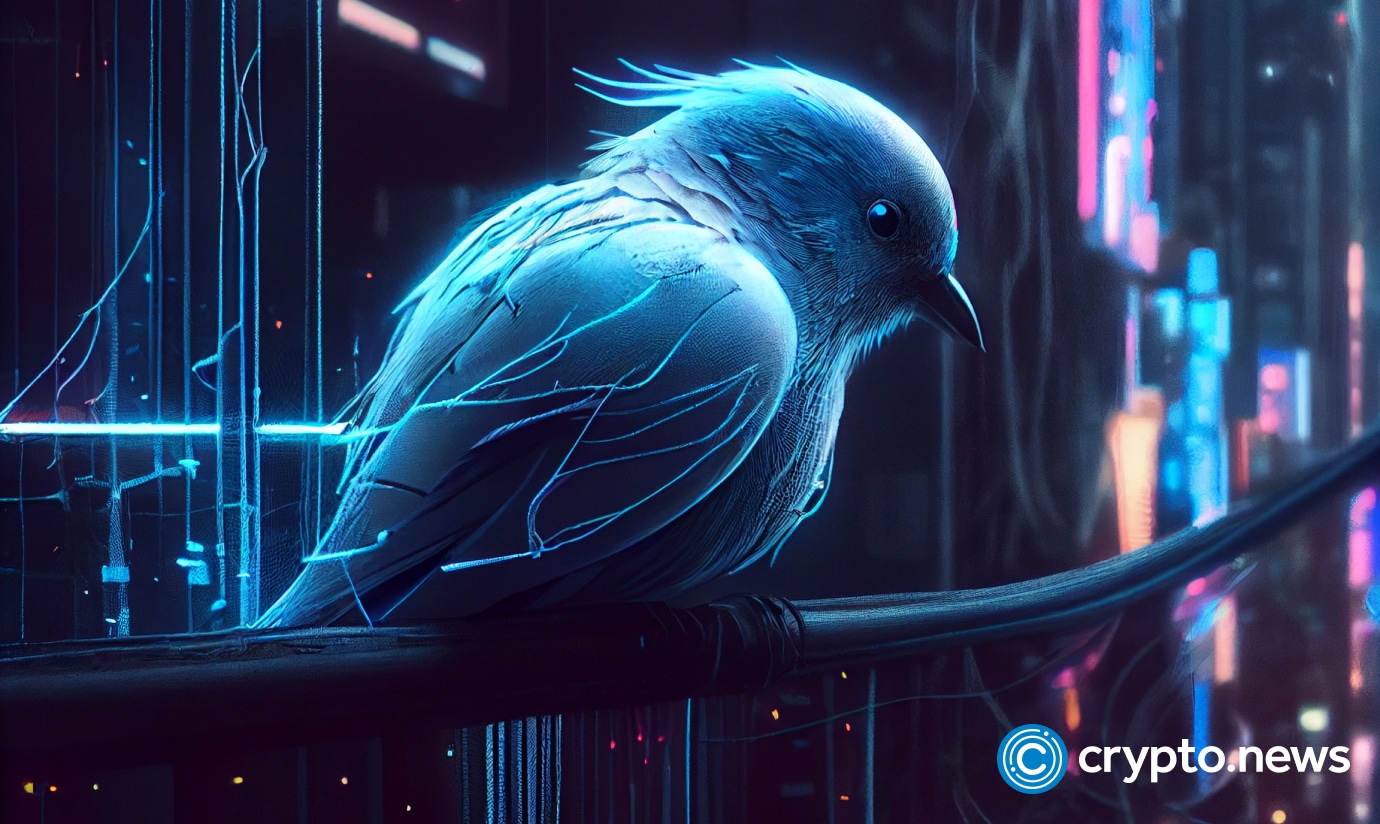 From blue bird to X: Twitters rebranding sparks crypto frenzy