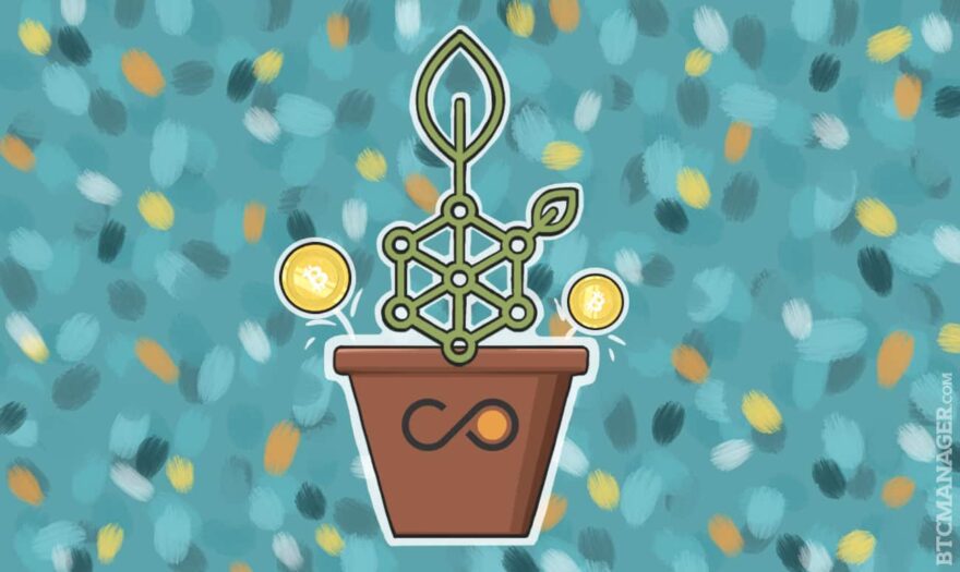 Coinsilium Invests US$100,000 in Smart Contract Platform RootStock