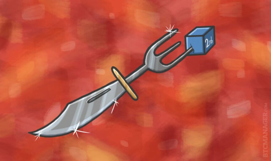 Bitcoin Experts Weigh In on Hard-Fork Debate