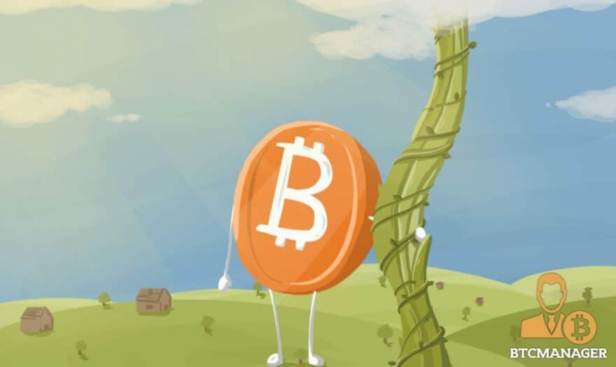 The Cruel Uncertainty of Bitcoin’s Rise