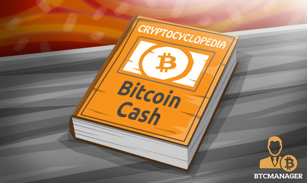 An Introduction to Bitcoin Cash