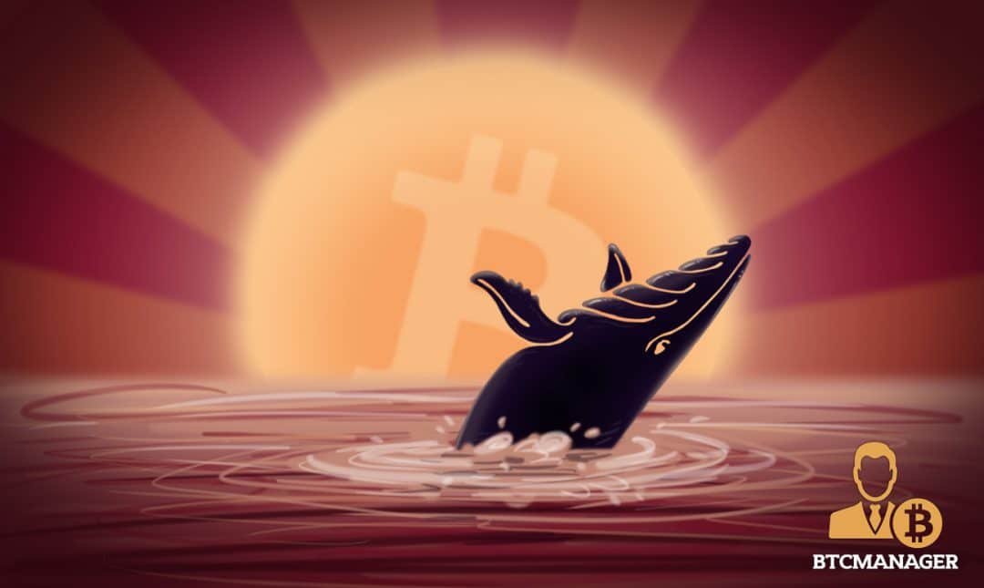 Investors Eye Bitcoin Again After ‘Tokyo Whale’ Submerges