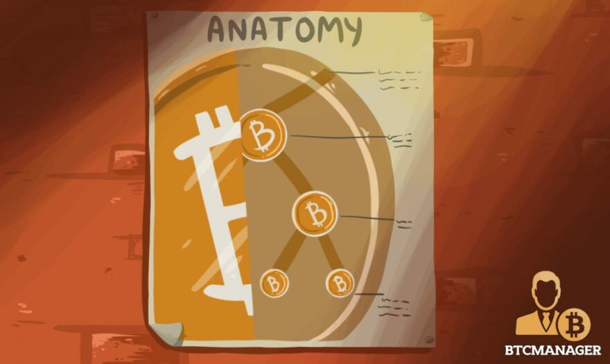 The Anatomy of a Bitcoin Ponzi Scheme