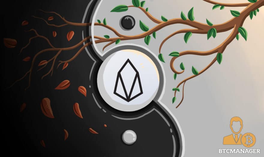 Weighing the Pros and Cons of the EOS platform