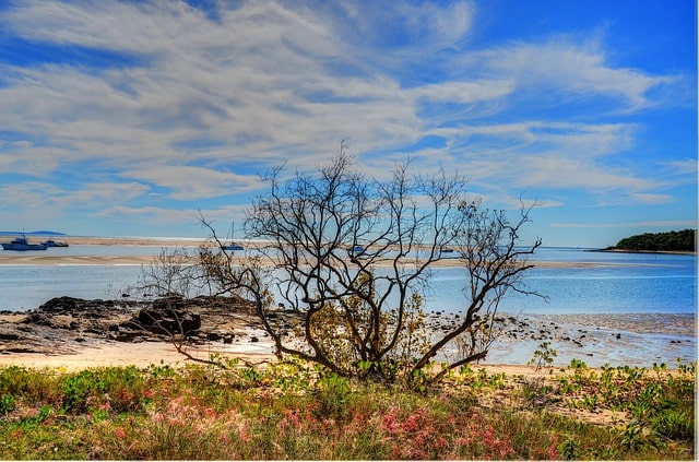 The Australian Beach Town Where You Can Pay for Your Holiday in Bitcoin - 1