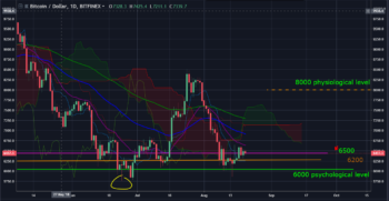 August 23 Crypto Market (1)