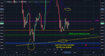 August 23 Crypto Market (2) 