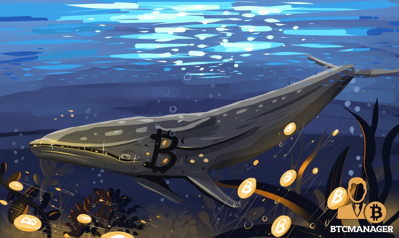 New “Whales” Are Swimming in the Bitcoin Pool, Here’s Why