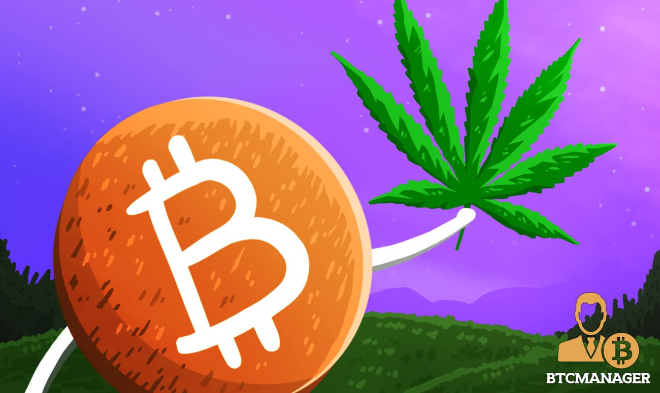 Cryptocurrency and Cannabis: Risky Investments with a Twist