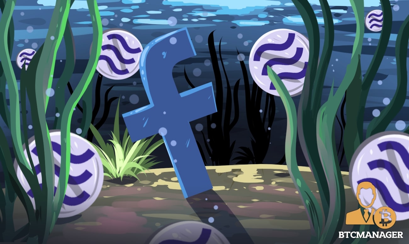 An In-Depth Analysis of Facebook Libra