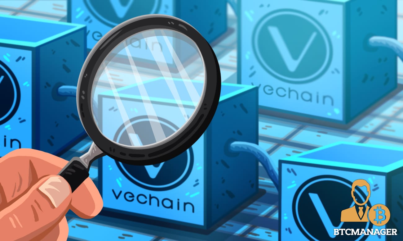 VeChain (VET) Unveils New Block Explorer and Ledger Wallet Interface 