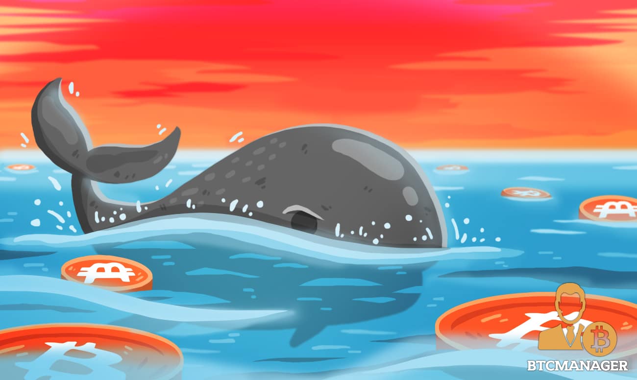 Bitcoin “Whale” Holdings are Now at Pre-$20,000 Levels, Here’s What it Means
