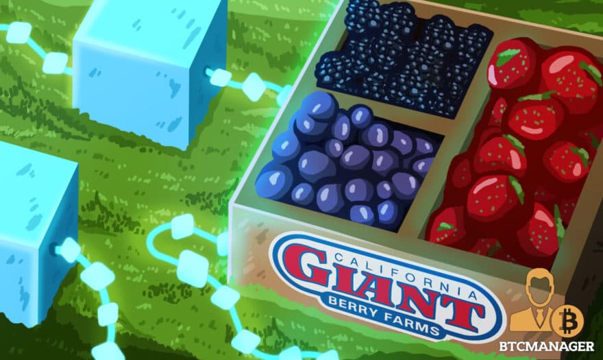California Giant Berry Farms Deploys Blockchain for Increased Supply Chain Transparency