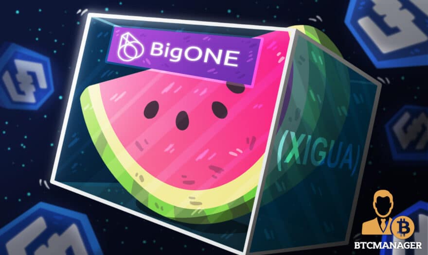 IOST Launches Trading Competition for Listing of Watermelon DeFi Token (XG) on BigOne
