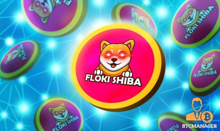 Floki Shiba Meme Token Ranked Top Social Signal BSC DApp