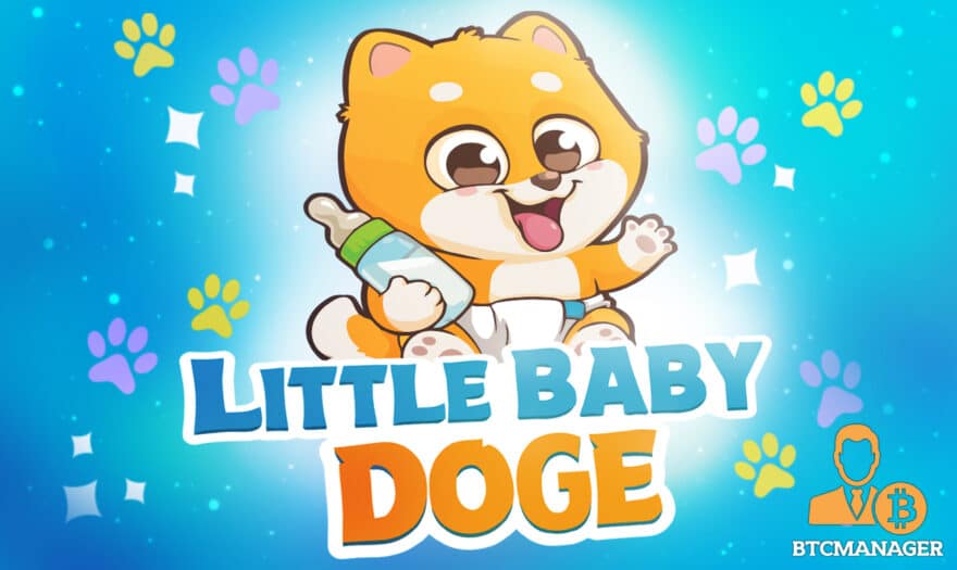 Little Baby Doge: The Newest Member of The Doge Cryptocurrency Family
