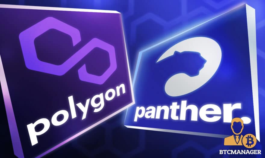 Panther Protocol Partners with Polygon to Introduce Core Privacy Features in DeFi