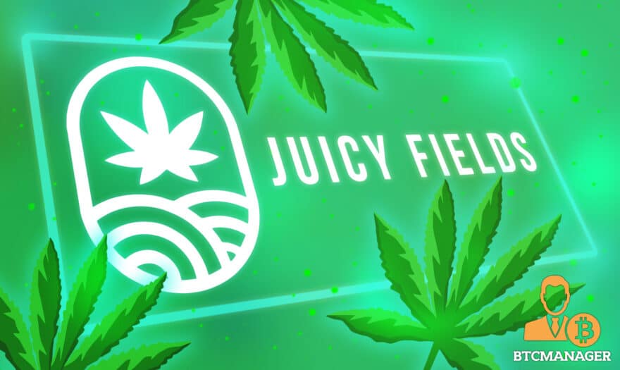 Tech Platform JuicyFields Plans to Produce 75 Tons of Harvest in 2021
