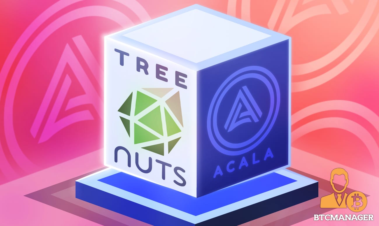 Polkadot-based Acala to Fund “Tree”—a Synthetic Asset Protocol by NUTS Finance