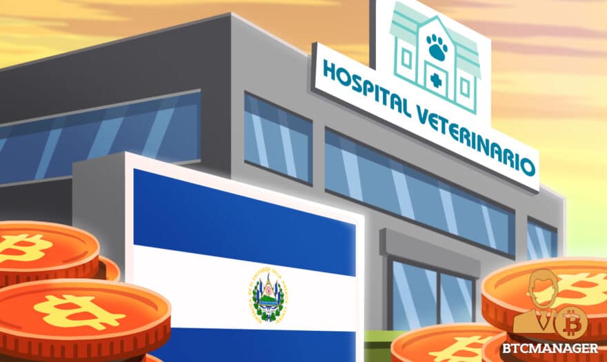 El Salvador: President Nayib Bukele to Invest Bitcoin (BTC) Profits in Veterinary Hospital