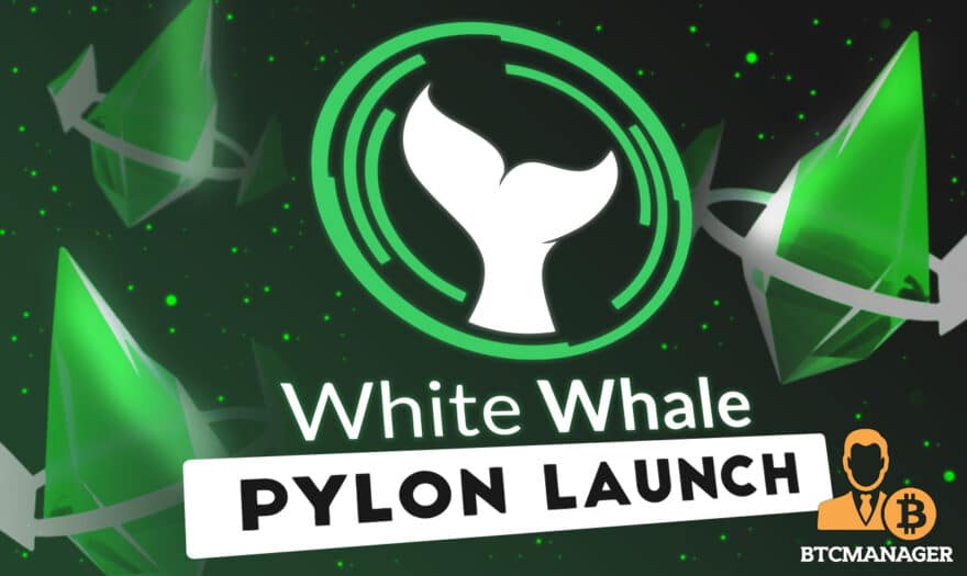 White Whale Announces Details of Pylon Launch