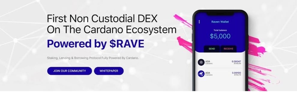 Ravendex, Aims to Launch the First Non-custodial Decentralized Exchange Built on the Cardano Blockchain - 1
