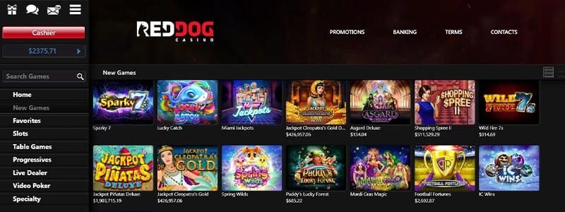 Best Bitcoin Casinos in 2021 With the Best Bitcoin Games, Bonuses & More - 7