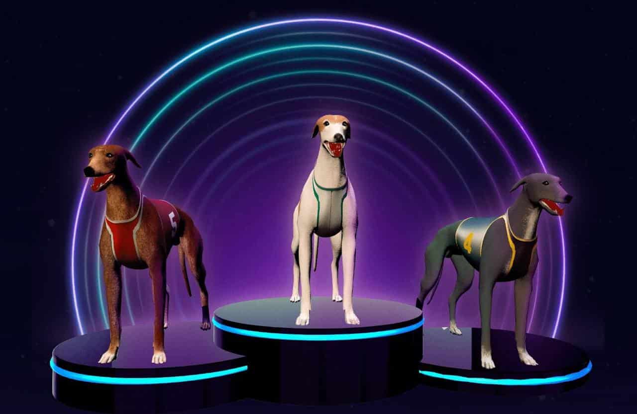 DeRace For Dog$ Your Decentralized Play2Earn Racing in the Metaverse! - 2