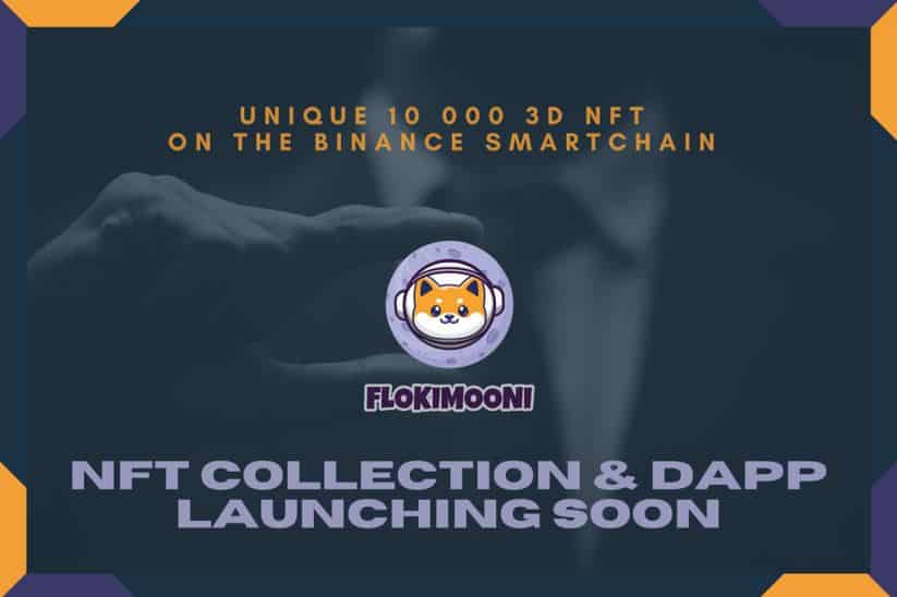 FlokiMooni's Ecosystem is Heating Up: NFT Collection Launching Soon - 1