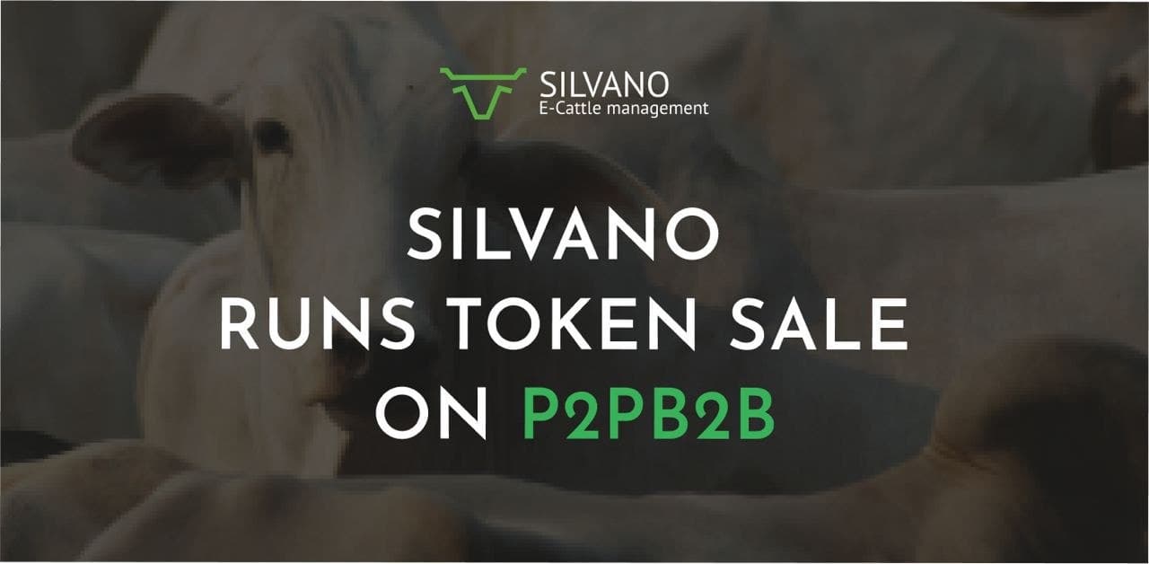 Silvano Runs Token Sale P2PB2B - 1