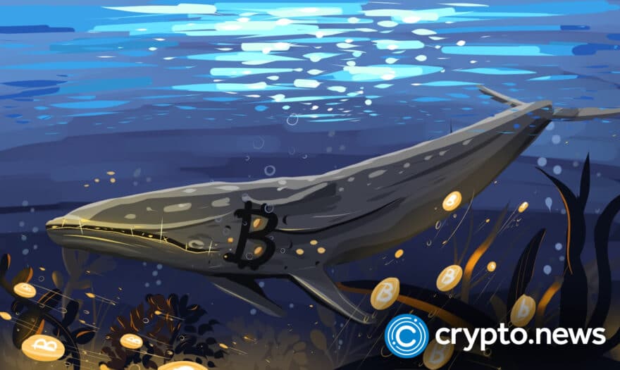 Bitcoin Whale Transactions Peak to Highest Level in a Month