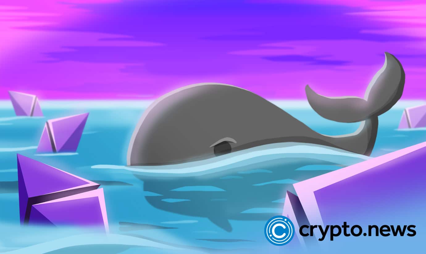 Cardano gains 12% in a week as whales wake up