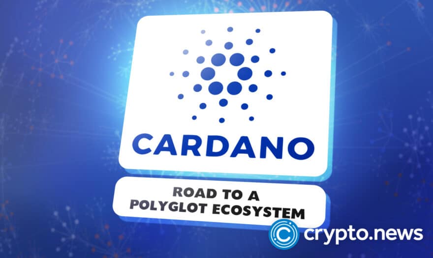 Cardano Set for a Polyglot Ecosystem