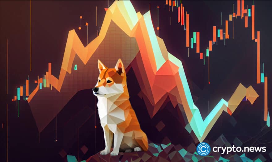 Shiba Inu whales making big moves while its price is down