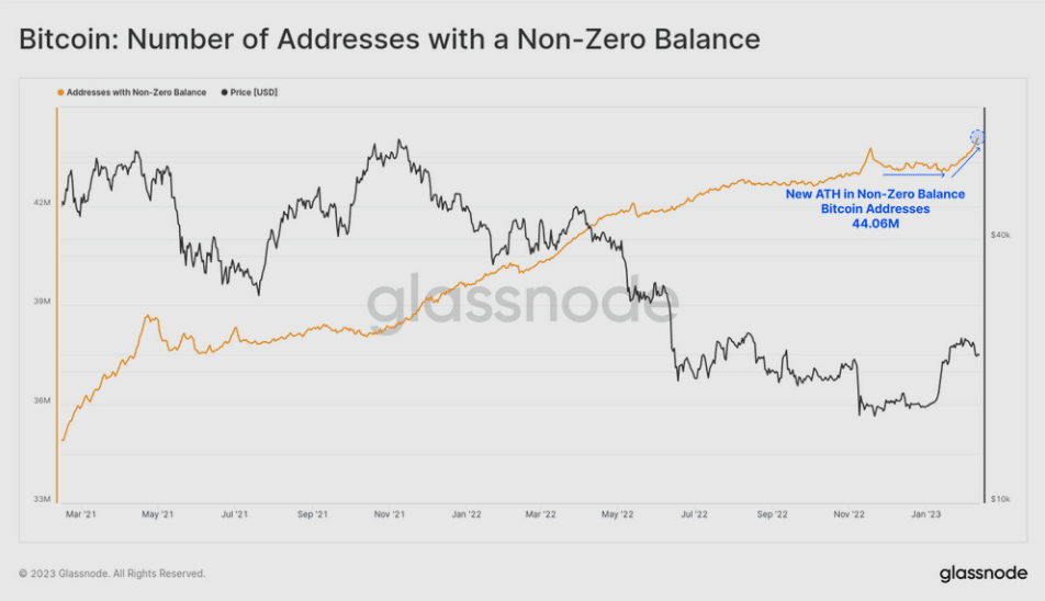 Chart showing the number of bitcoin addresses with a non-zero balance