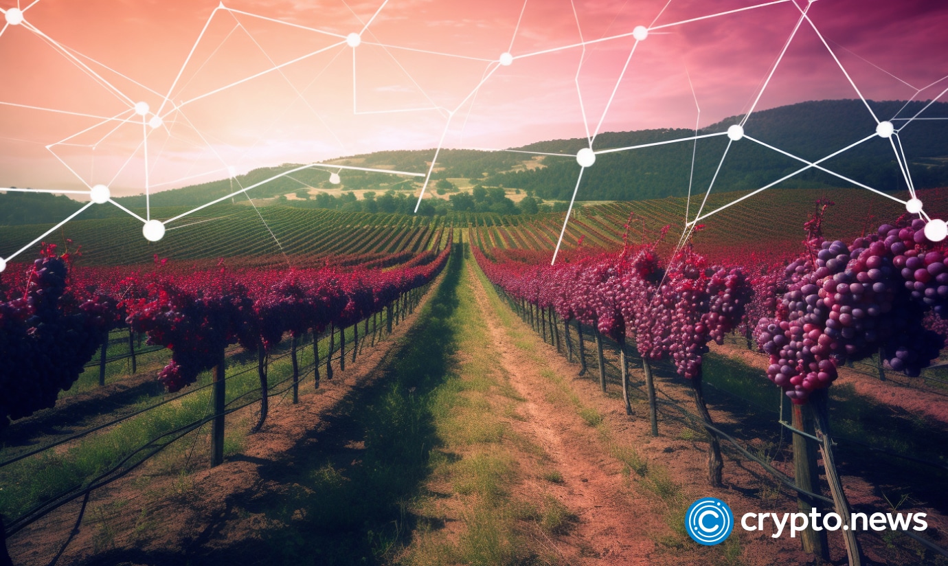 Turning bottles into blockchain: SuperWine changes fine wine investment with web3