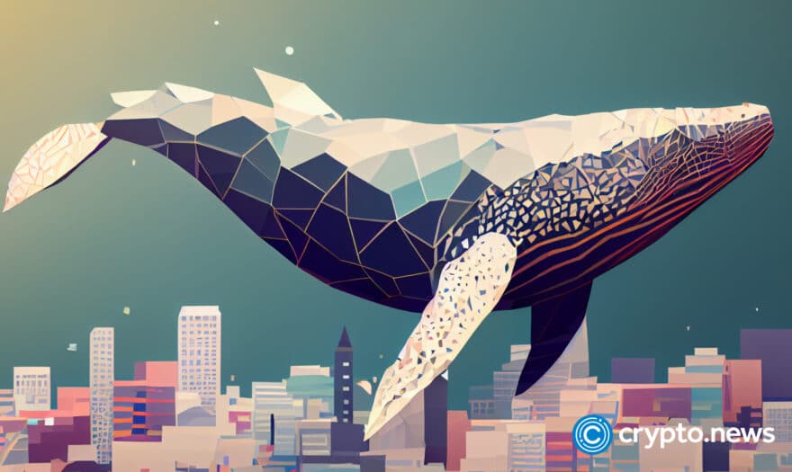 Bitcoin whale addresses increase as price maintains $26k support  