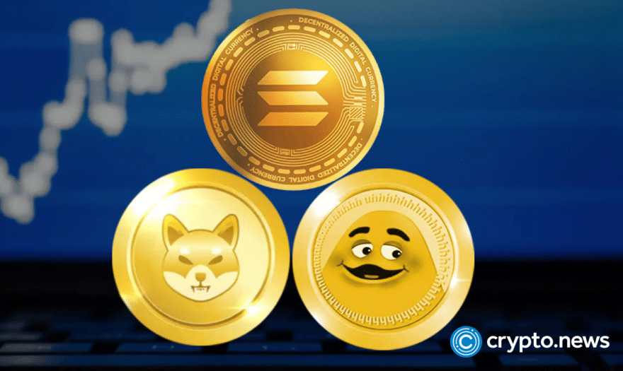 Shiba Inu and Solana stumble – new coin leads the bullish market