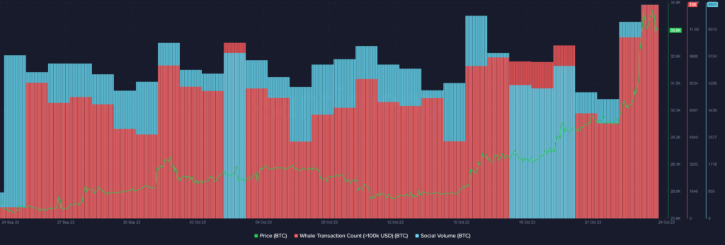 Bitcoin faces selling pressure as whale activity hikes - 1