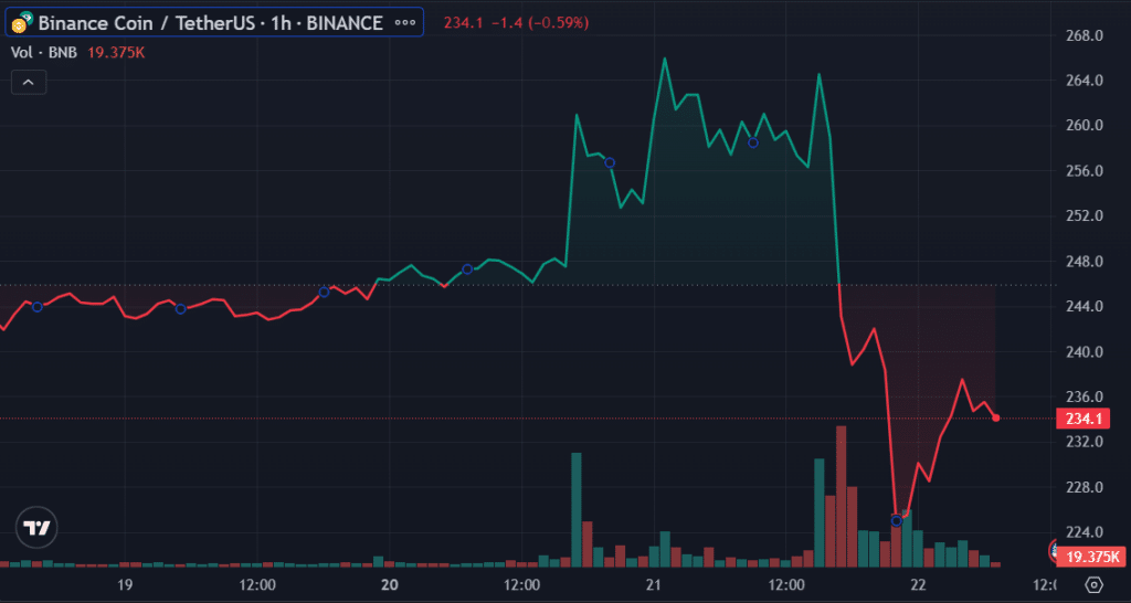BNB plummets 9.2% amidst wider crypto downturn after Binance charges - 1