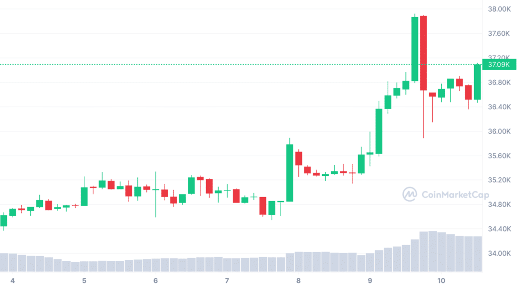 Bitcoin Price History: What Was Bitcoin's Highest Price?