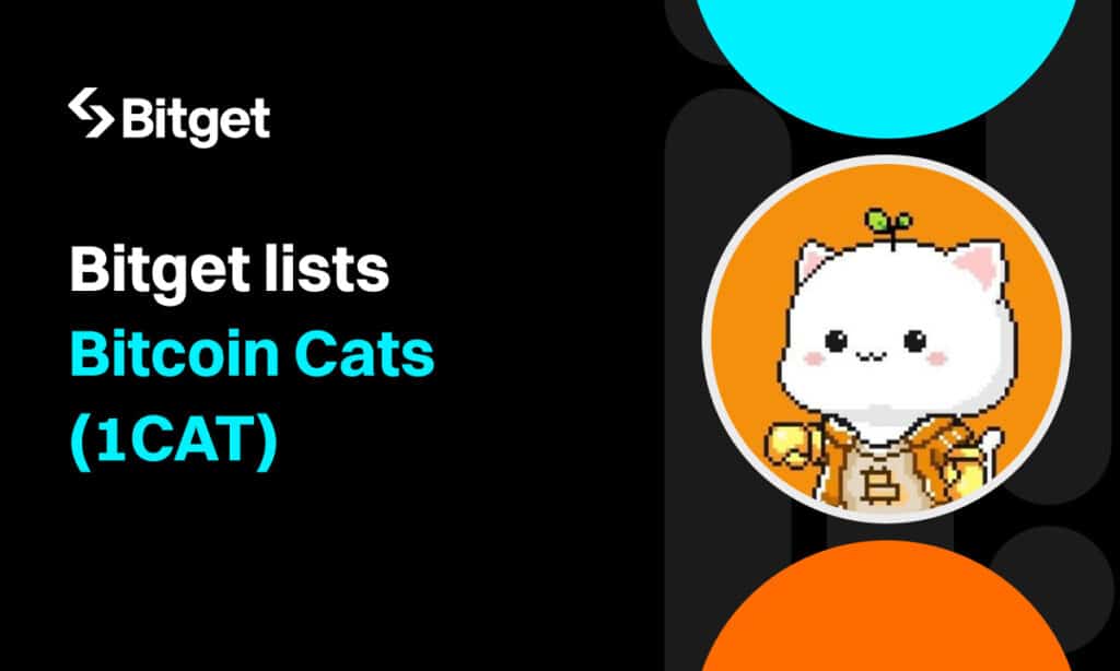 Bitget lists Bitcoin Cats in their Innovation Zone - 1