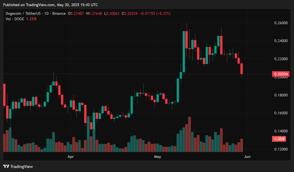 Deciphering Dogecoin's future: trends and predictions - 2