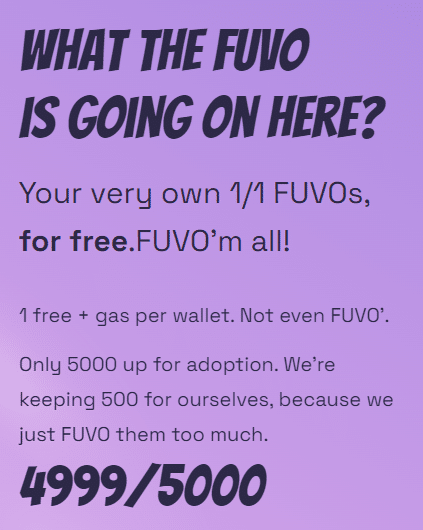 Fuvo.io shows signs of phishing scam targeting valuable crypto and NFTS - 2