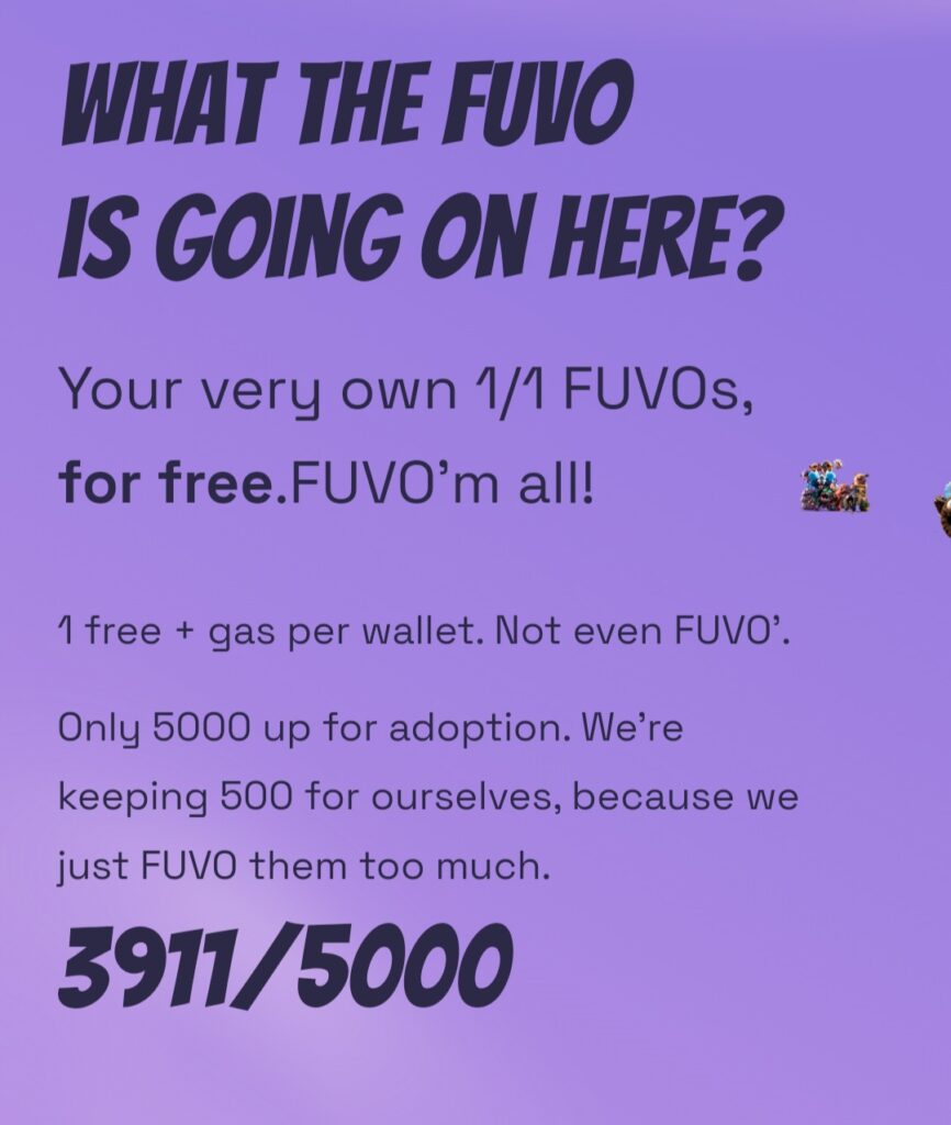 Fuvo.io shows signs of phishing scam targeting valuable crypto and NFTS - 3