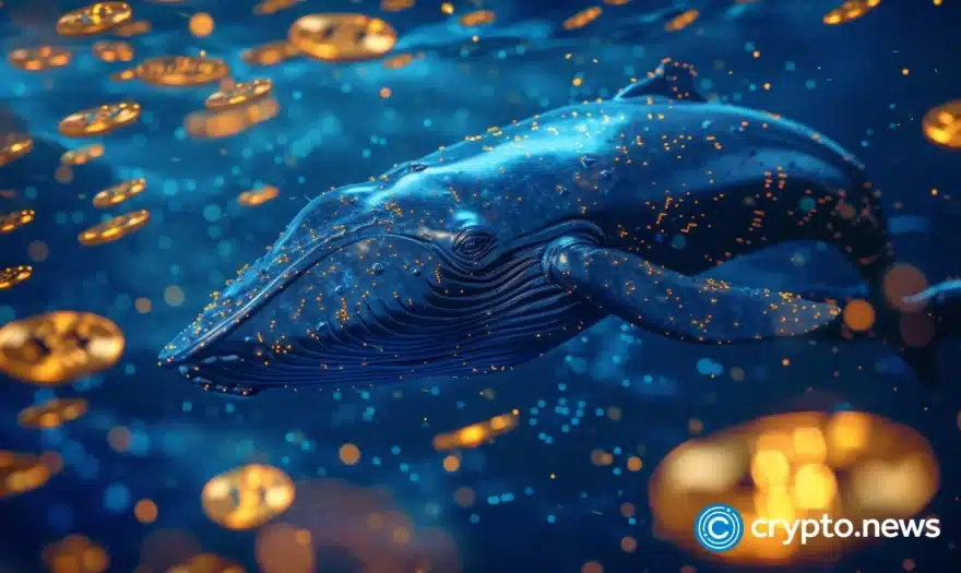 Crypto whales stockpile these 3 altcoins before the next bull run