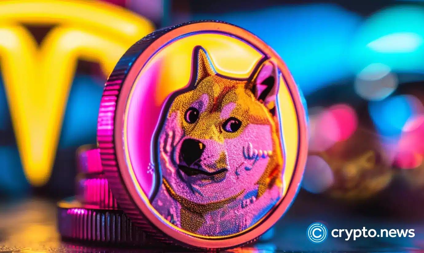Dogecoin price analysis: A critical look at investment viability