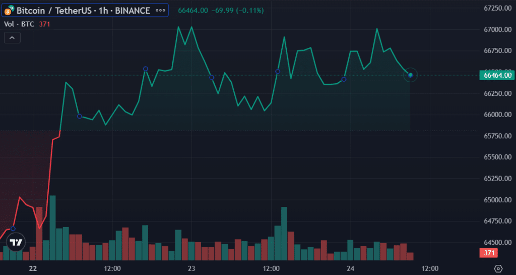 Tesla не продавала биткойн-активы, несмотря на падение прибыли в первом квартале