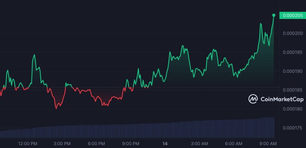 Meme coins stay on top as FLOKI, BOME, DOGE lead markets